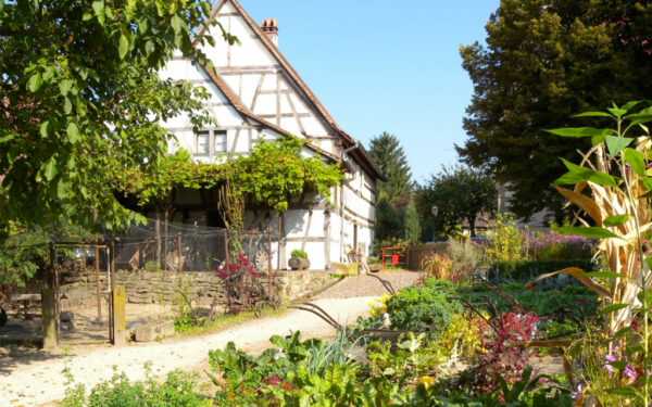 Potalger-Maison-rurale-Outre-foret